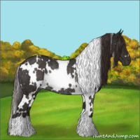 Horse Color:White Spotted Liver Chestnut Rabicano