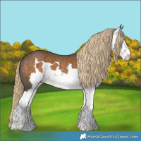 Horse Color:Chocolate Palomino Sabino 