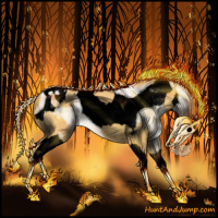 Horse Color:Amber Cream Champagne Appaloosa  and Void Amber Cream Champagne Ice Pearl Tobiano 