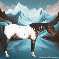 Horse Color:Bay Appaloosa Rabicano