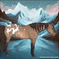 Horse Color:Bay Dun Appaloosa Rabicano 