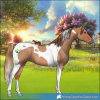 Horse Color:Red Roan Tobiano 