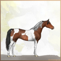 Horse Color:Brown Tobiano Rabicano