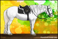 Horse Color:Perlino Appaloosa 