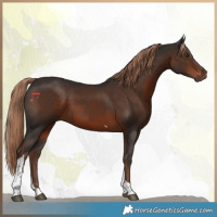 Horse Color:Liver Chestnut Tobiano 
