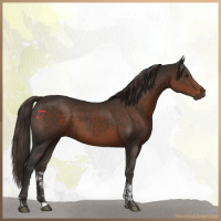 Horse Color:Liver Chestnut Tobiano 