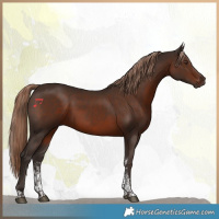 Horse Color:Liver Chestnut Sabino Tobiano 