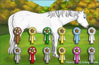 Horse Color:Gray Buckskin Roan Splash 