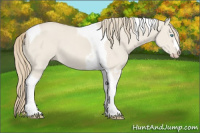 Horse Color:Smoky Creme Dun Tobiano 