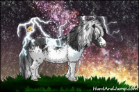 Horse Color:White Spotted Black 