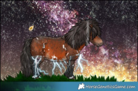 Horse Color:White Spotted Brown 