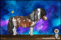 Horse Color:White Spotted Brown