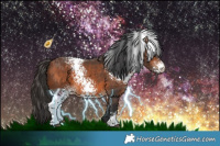 Horse Color:White Spotted Bay 