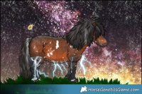 Horse Color:White Spotted Brown 