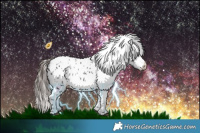 Horse Color:White Spotted Black Appaloosa 