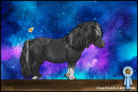 Horse Color:White Spotted Black