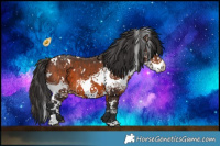Horse Color:White Spotted Brown 