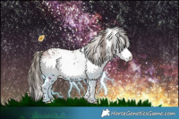 Horse Color:White Spotted Bay Appaloosa