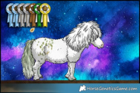 Horse Color:Watercolor White Spotted Bay Blanket 