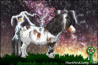 Horse Color:White Spotted Brown 