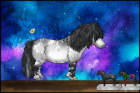 Horse Color:White Spotted Bay Chinchilla 