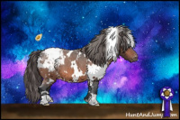 Horse Color:White Spotted Bay Appaloosa 