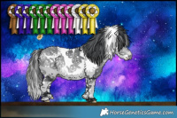 Horse Color:White Spotted Bay Chinchilla Splash 