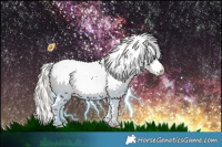 Horse Color:White Spotted Silver Bay Appaloosa 