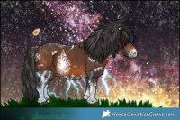 Horse Color:White Spotted Brown 
