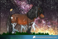 Horse Color:White Spotted Bay 