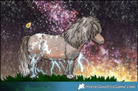Horse Color:White Spotted Bay Varnish
