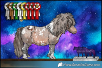 Horse Color:White Spotted Brown Appaloosa 