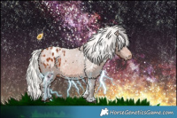Horse Color:White Spotted Silver Bay Appaloosa 