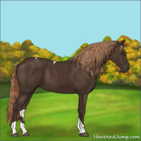 Horse Color:Liver Chestnut Tobiano 