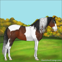 Horse Color:Brown Sabino Splash Tobiano 
