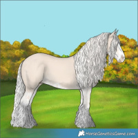 Horse Color:Cremello Splash  and Cremello Splash 