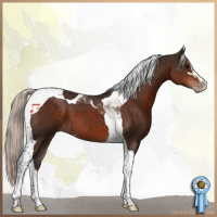 Horse Color:Silver Brown Sabino Tobiano 