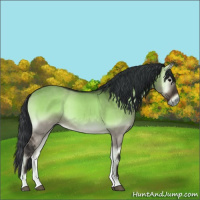 Horse Color:Brown Onyx
