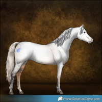 Horse Color:Gray Void Chocolate Palomino Tobiano 