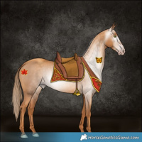 Horse Color:Gray Gold Champagne 