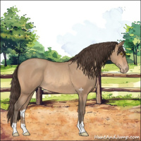 Horse Color:Amber Champagne Varnish Rabicano 