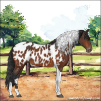 Horse Color:Brown Tobiano Near Leopard 