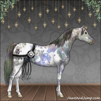 Horse Color:Nacre White Spotted Grullo Ice