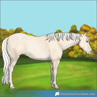 Horse Color:Silver Buckskin Pearl 