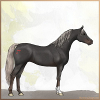 Horse Color:Silver Black 