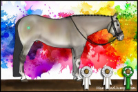Horse Color:Grullo Onyx 