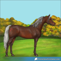Horse Color:Silver Brown 