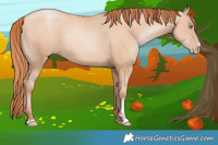 Horse Color:Amber Champagne Pearl 