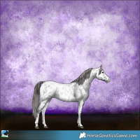 Horse Color:Blue Roan Sabino Appaloosa Rabicano 