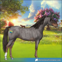 Horse Color:Liver Red Roan 